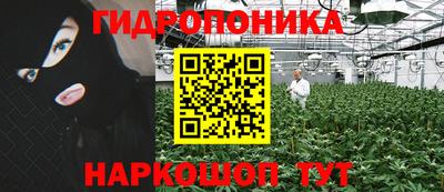 шишки Гусев