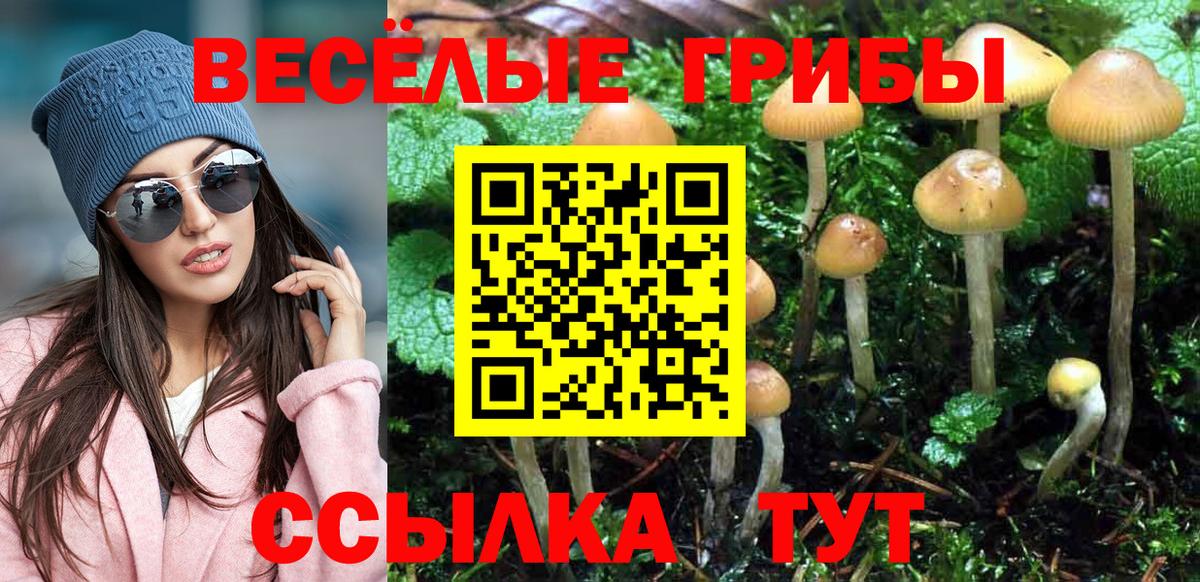 Псилоцибиновые грибы Magic Shrooms  Вход с VPN  Москва 